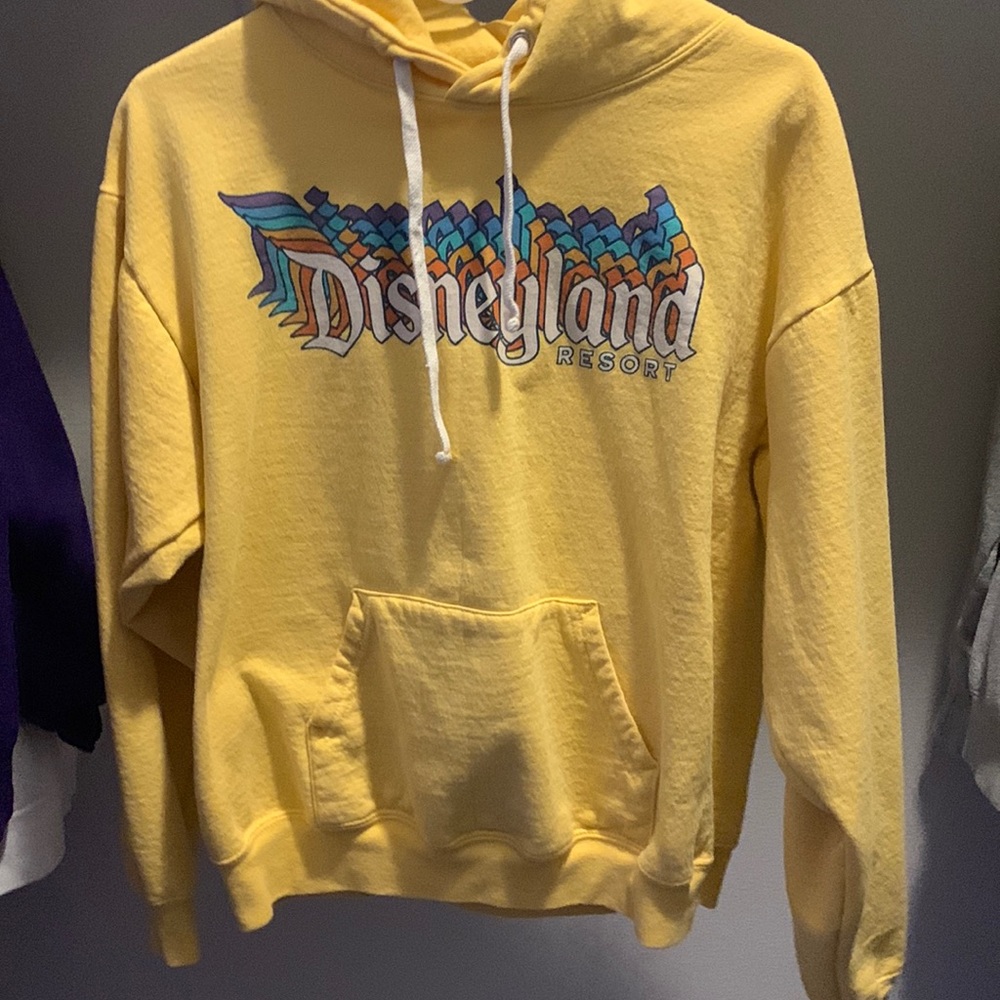 DisneyLand Resort Hoodie